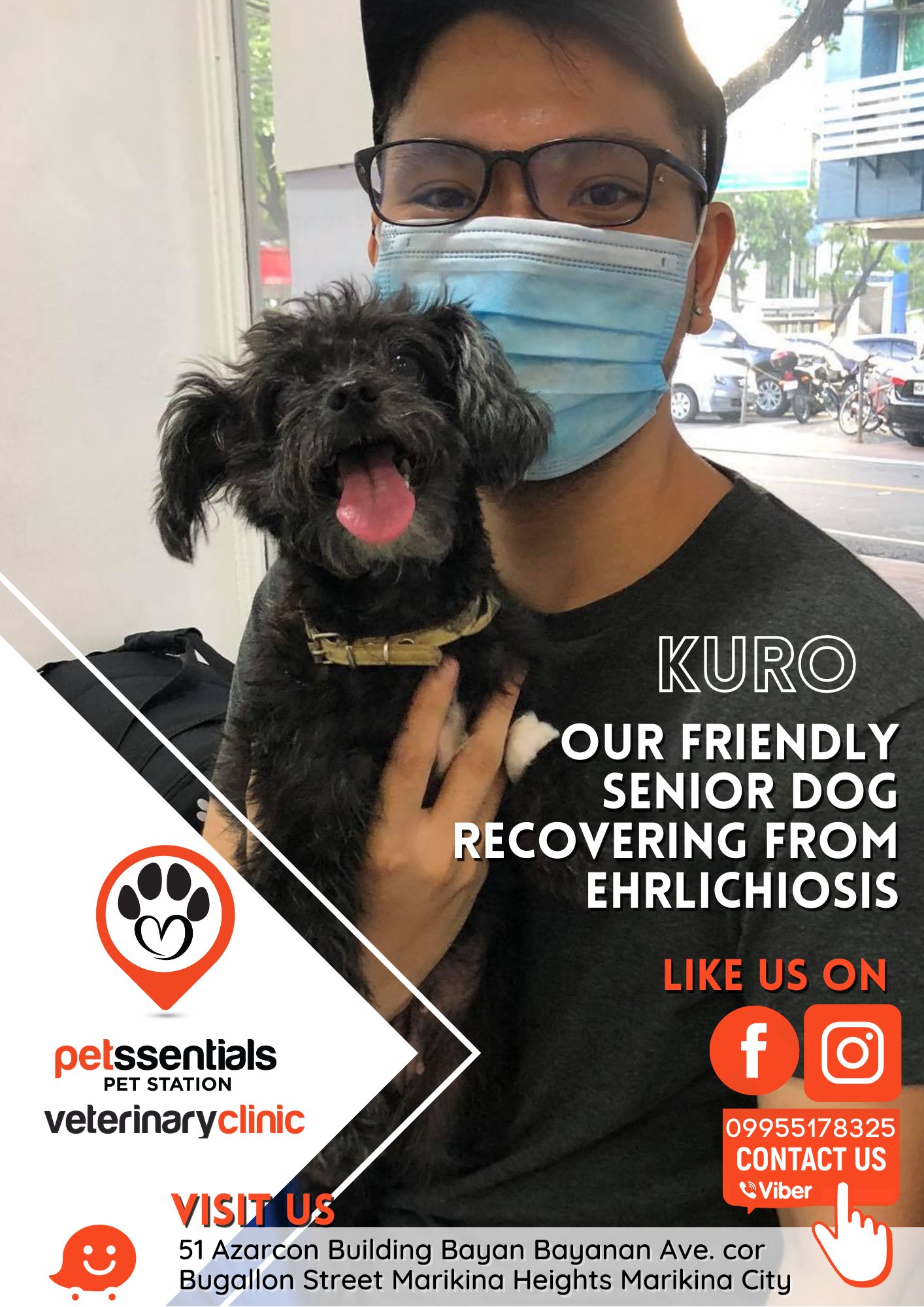 Petssentials Pet Station Gallery Image